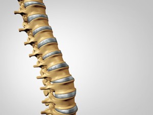 graphics showing the spine model