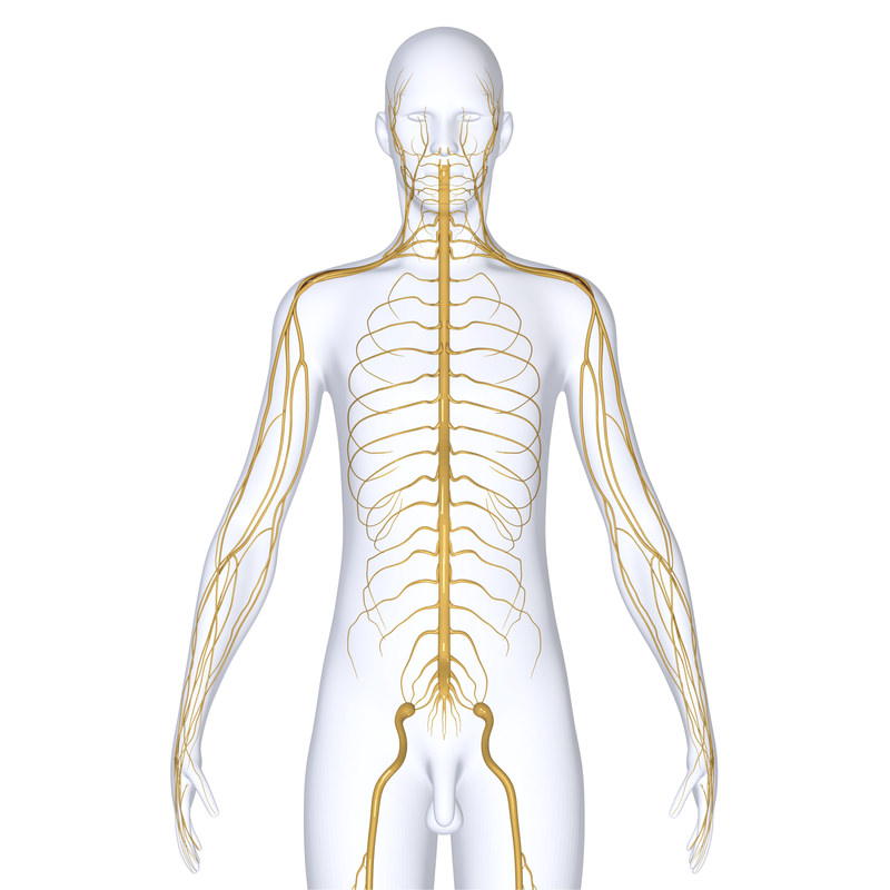 🥇 San Jose CA Electrodiagnosis EMG/NCS Test | Los Gatos Electromyography