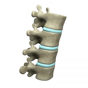 picture of four vertebra