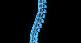  spine model